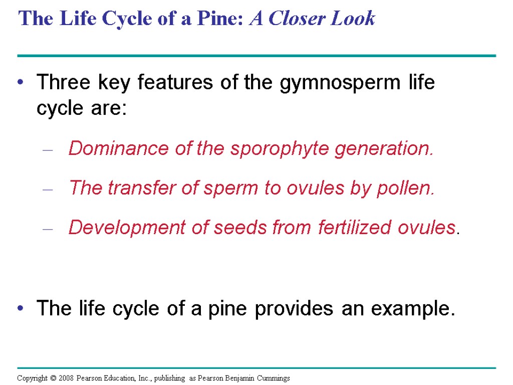 The Life Cycle of a Pine: A Closer Look Three key features of the